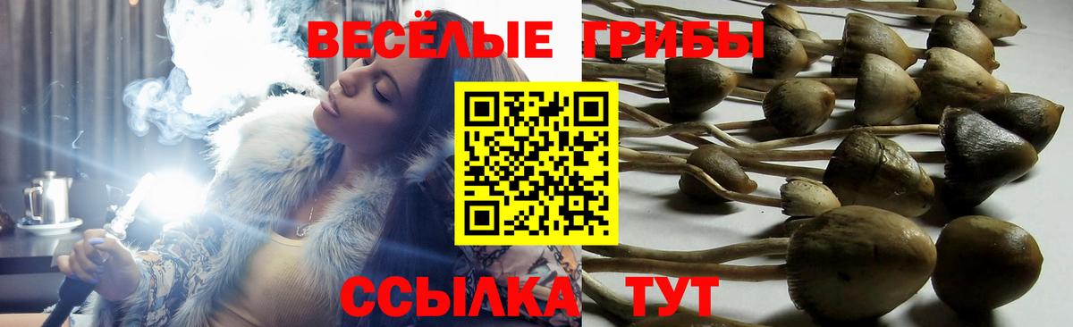 Галлюциногенные грибы мухоморы Анапа